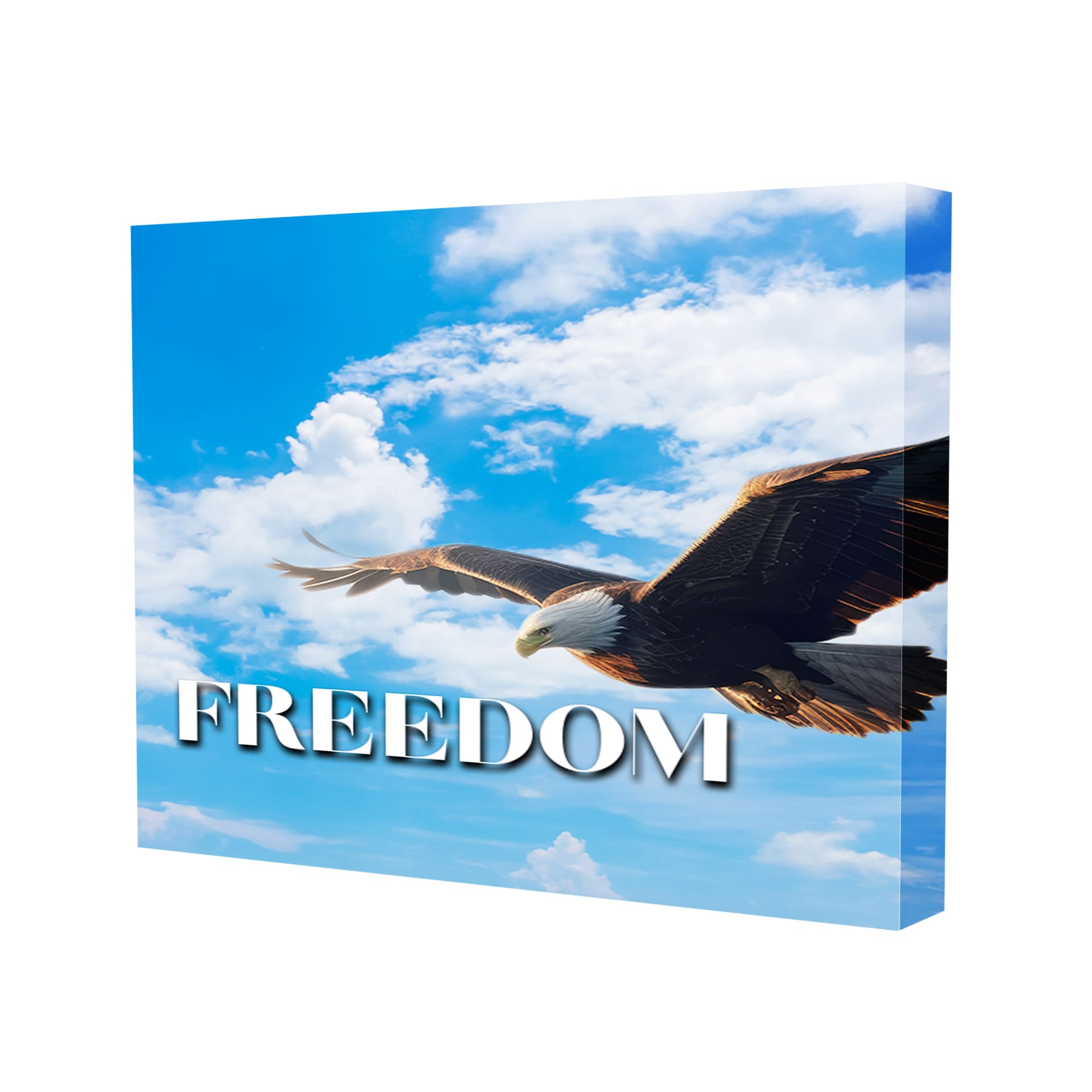 10' Freedom Pop Up Trade Show Display