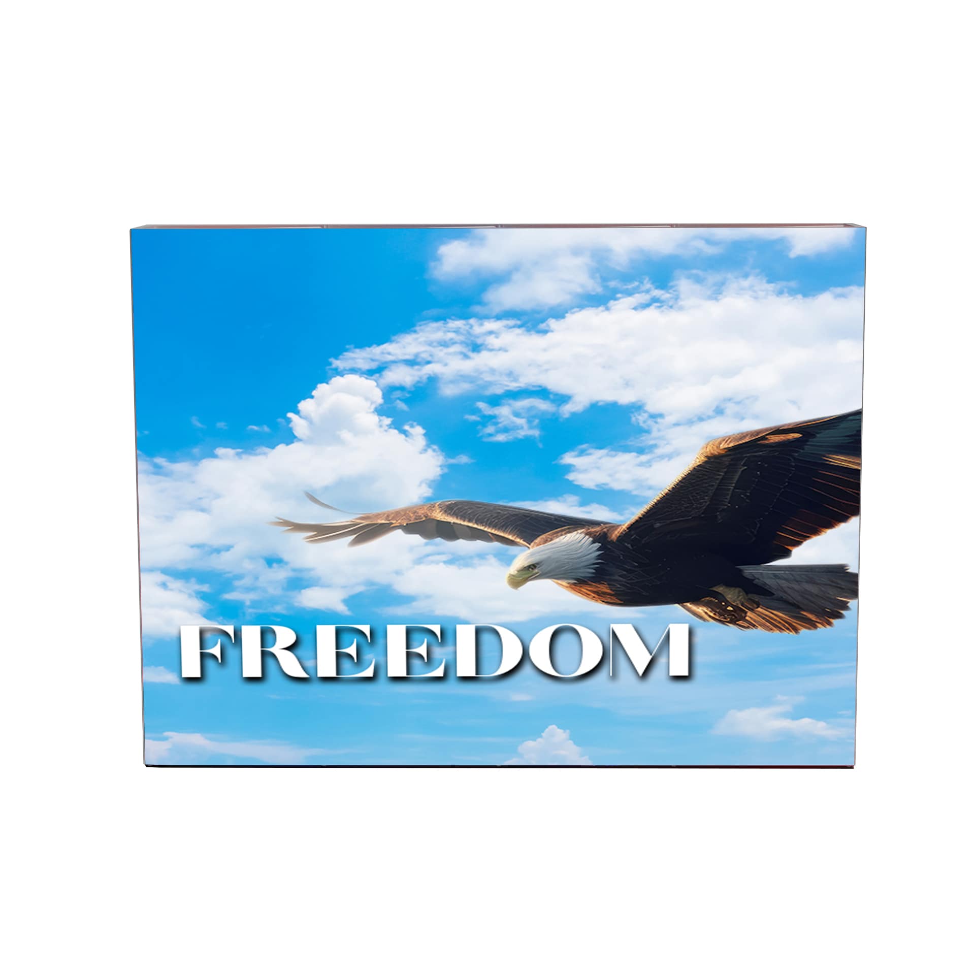 10' Freedom Pop Up Trade Show Display